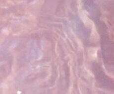 favourite books and characters